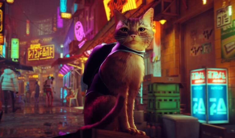 Мемы про игру Stray